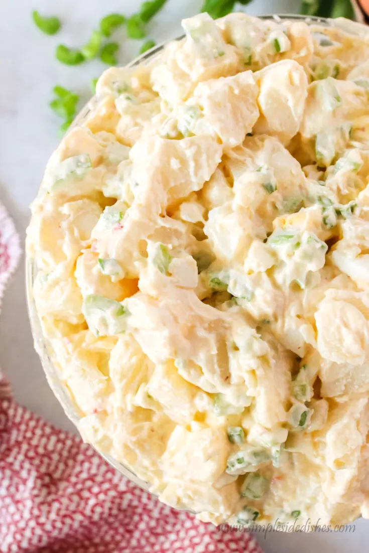 zoomed in image of potato salad in bowl ready to serve