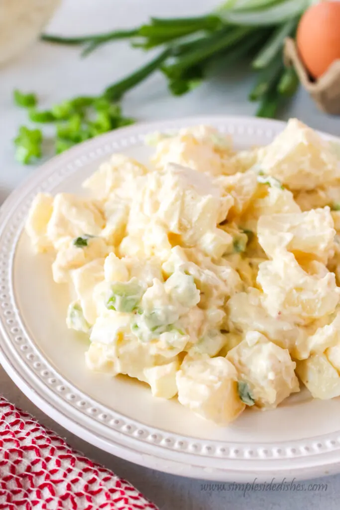 zoomed out side view of potato salad on plate