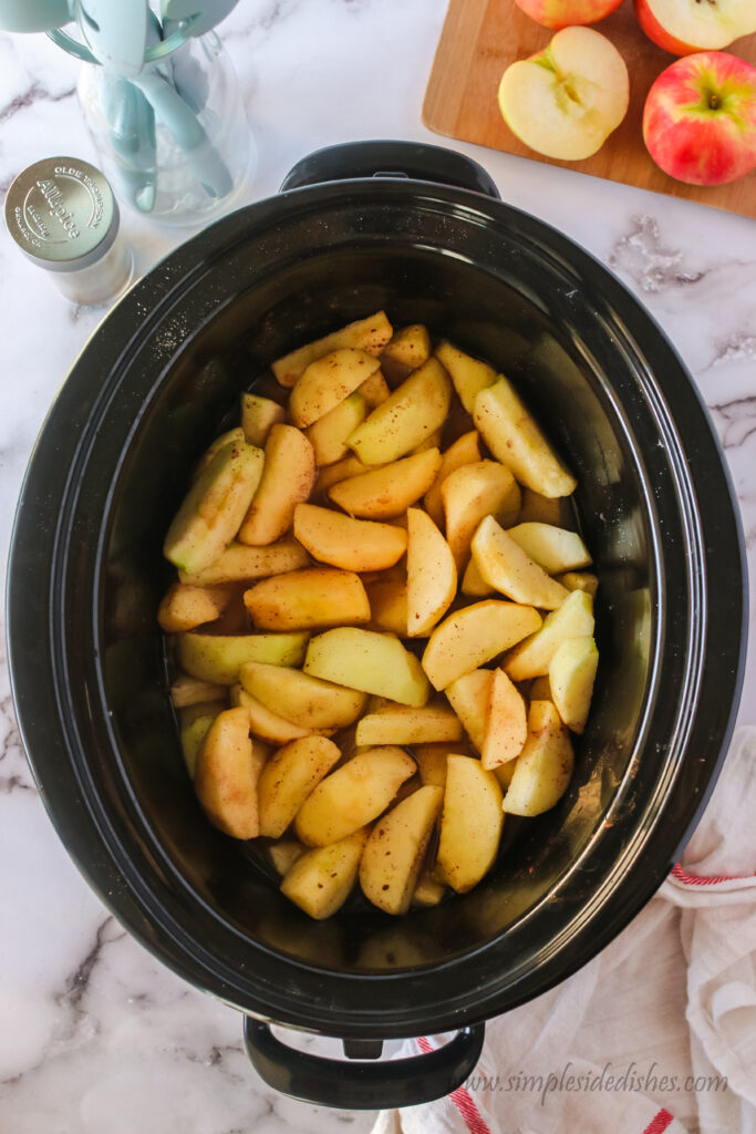 apple and spices place into a crockpot