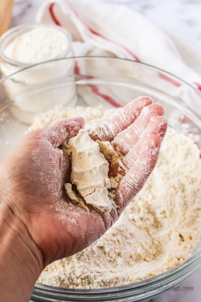 flour, salt and shortening in a bowl mixed up and ready for liquids