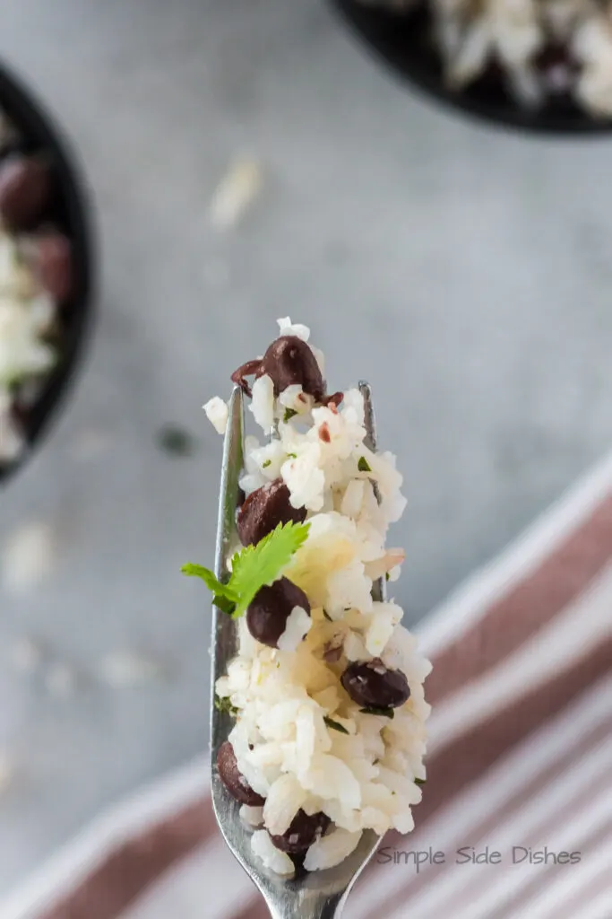 A fork full of cilantro lime rice and black beans.