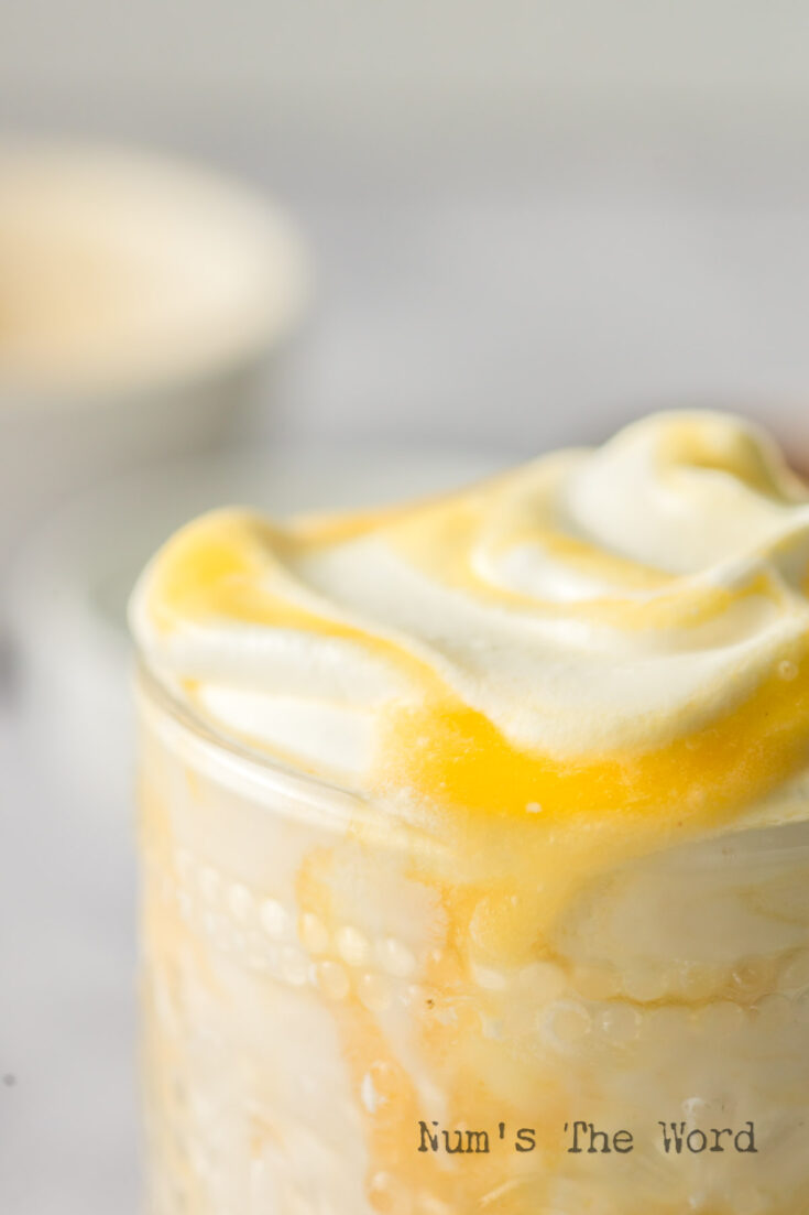 zoomed in image of peach fool ready to eat.